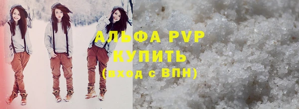 гашик Няндома