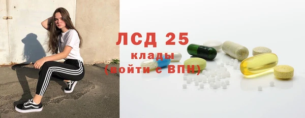 гашик Няндома