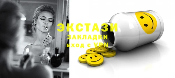 гашик Няндома