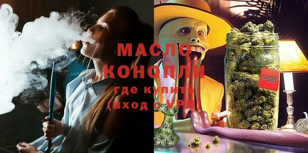 гашик Няндома