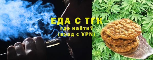 гашик Няндома
