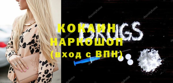 гашик Няндома